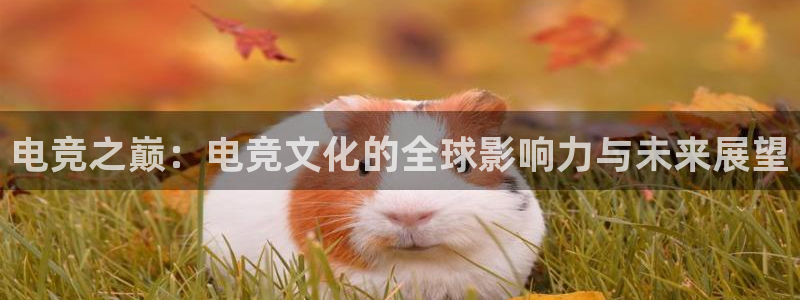 完美电竞世界平台：电竞之巅：电竞文化的全球影响力与未来展望