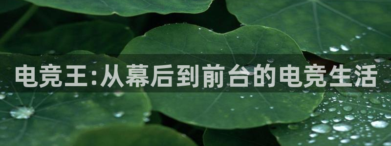 完美电竞cs：电竞王:从幕后到前台的电竞生活