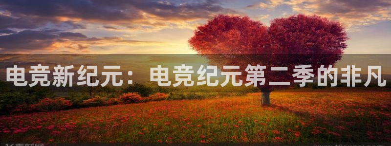 完美电竞平台排行榜：电竞新纪元：电竞纪元第二季的非凡