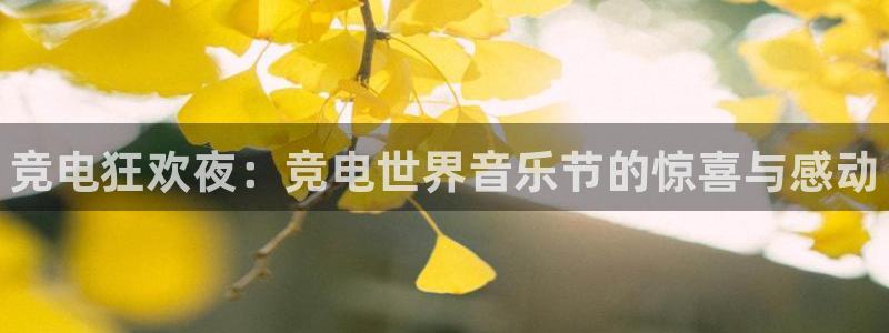 完美电竞平台下载：竞电狂欢夜：竞电世界音乐节的惊喜与感动
