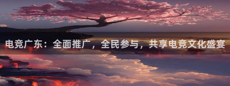 完美电竞大会员：电竞广东：全面推广，全民参与，共享电竞文化盛宴