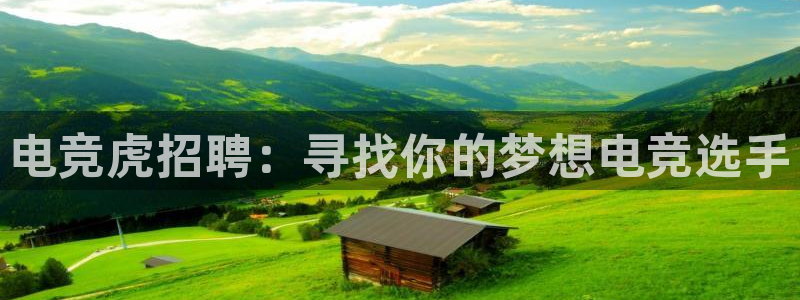 完美电竞注册：电竞虎招聘：寻找你的梦想电竞选手