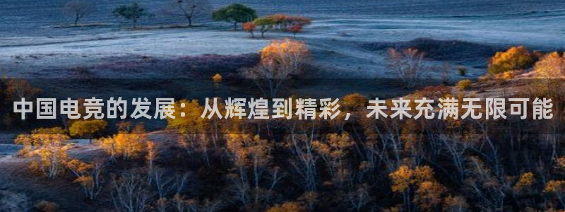 csgo完美电竞平台：中国电竞的发展：从辉煌到精彩，未来充满无限可能