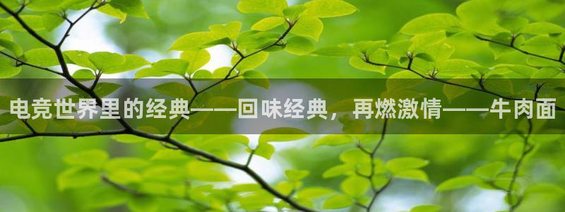 完美电竞世界：电竞世界里的经典——回味经典，再燃激情——牛肉面