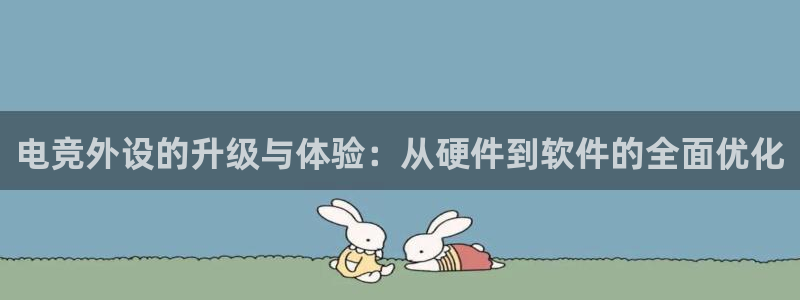 cs完美电竞平台：电竞外设的升级与体验：从硬件到软件的全面优化
